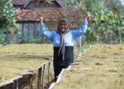 Dulu Terdampak PHK, Kini Sudarti Lebih Sejahtera Berkat Pertanian Tembakau