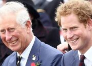 Pangeran Harry Minta Perlindungan Maksimal pada Kerajaan, Raja Charles Malu