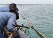 Pihak Aguan Klaim HGB di Pagar Laut Tangerang Dulunya Sawah, Dibeli Zaman Soeharto