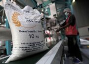 Serap 3 Juta Ton Beras hingga April 2025, Bulog Kantongi Anggaran Rp16 Triliun