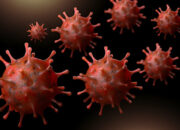 Waspada! 6 Penyakit Menular yang Bisa Jadi Ancaman di 2025, Nomor 3 Masih Menghantui Dunia