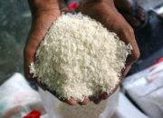 BUMN hingga TNI-Polri Bangun Gudang Penyimpanan Beras, Prabowo Siapkan Biaya Khusus