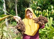 Rofiah Wujudkan Semangat Kartini dengan Gerakkan Ekonomi Desa