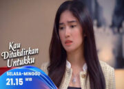 Pertemuan dengan Dara & Aksi Jambret yang Menimpa Alya