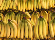 12 Jenis Pisang Terbaik di Dunia, Nomor 4 dari Indonesia