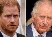 6 Alasan Pangeran Harry Dibenci Raja Charles III, Kritik Ratu Camilla Tak Termaafkan