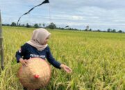 Kementan Dorong Petani Muda Aktif di Koperasi Desa Merah Putih 