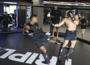 Khabib Nurmagomedov Ajari Patrice Evra Teknik Pukulan Petarung MMA