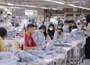 Kunci Stabilitas Ekonomi, Perlindungan Petani dan Tenaga Kerja Padat Karya Perlu Jadi Prioritas