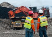 Meroket! Laba Bersih Samindo Tumbuh 501% di Kuartal I-2025