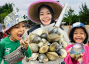Petualangan Seru Mamah Nada! Belajar Cari Kerang di Pantai Ambalat Bareng Anak-anak
