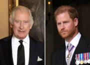 Raja Charles III Tidak Percaya Sama Sekali pada Pangeran Harry, Hubungan Kian Memburuk