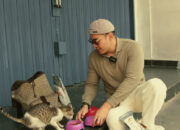 Robby Purba Berbagi Berkah Ramadhan dengan Street Feeding Kucing Jalanan