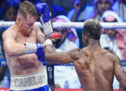 Saul Canelo Alvarez vs Terence Crawford Mahakarya Seni Tinju