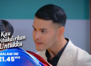 Skandal Miko-Dara & Ancaman Ledakan Gas