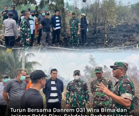 Sekretaris Daerah Kota Dumai Fahmi Rizal, S.STP., M.Si, Mengikuti Rangkaian Peninjauan Lokasi Kebakaran Hutan