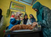 Semangat Hari Kebangkitan Nasional 2026, Pertamina Patra Niaga Kilang Dumai Bersama Kelompok Wanita Mundam Berseri Perkuat Pencegahan Stunting di Pesisir Dumai