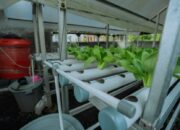 Pertamina Patra Niaga Refinery Unit Dumai Perkuat Upaya Pencegahan Stunting di Kawasan Pesisir Lewat PLTS untuk Kelompok Wanita Mundam Berseri