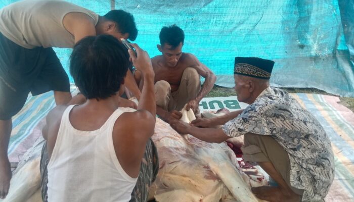 Hari Raya Idul Adha Keluarga Besar Sutrisno Melaksanakan Pemotongan Satu Hewan Qurban Sapi.