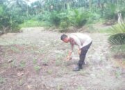 Mendukung Program Ketahanan Pangan Nasional Bhabinkamtibmas Bersama Petani Melakukan Pengecekan Perkembangan Persiapan Tanaman Jagung Pipil