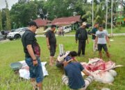 Menyambut Hari Raya Idul Adha PWI Persatuan Wartawan Indonesia Kota Dumai Ikut Qurban 1 Ekor Sapi