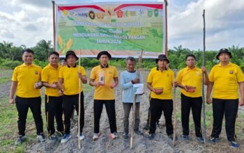 DUKUNG KETAHANAN PANGAN, POLSEK BUKIT KAPUR POLRES DUMAI TANAM JAGUNG DI LAHAN 1,5 HEKTARE