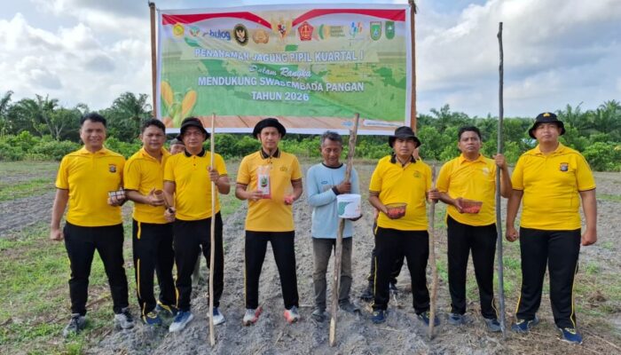 DUKUNG KETAHANAN PANGAN, POLSEK BUKIT KAPUR POLRES DUMAI TANAM JAGUNG DI LAHAN 1,5 HEKTARE
