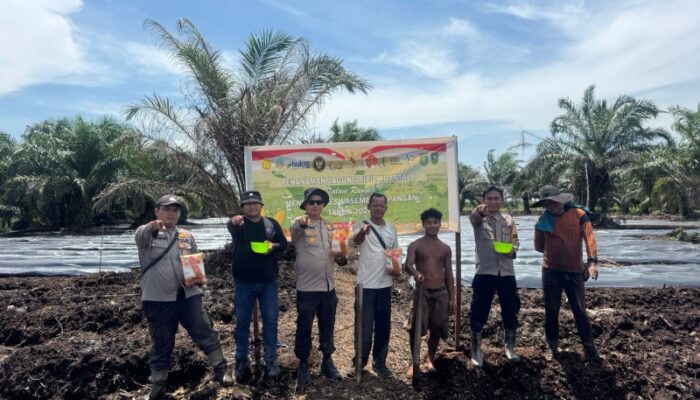Dukung Ketahanan Pangan Nasional 2026, Polres Dumai Tanam 2 Hektar Jagung Pipil di Batu Teritib