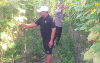 Bhabinkamtibmas Aiptu Subandi Bersama Petani Melakukan Pengecekan Pekarangan Pangan Bergizi .