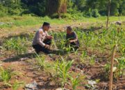 Kapolsek KSKP Dumai AKP Hardianto, S.E., M.Si. Mendukung Program Ketahanan Pangan
