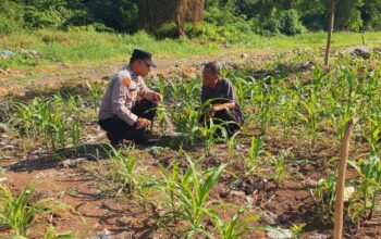 Kapolsek KSKP Dumai AKP Hardianto, S.E., M.Si. Mendukung Program Ketahanan Pangan