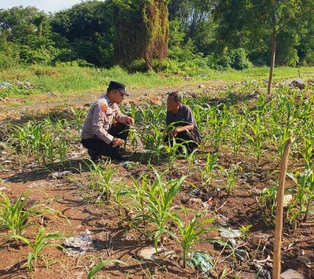 Kapolsek KSKP Dumai AKP Hardianto, S.E., M.Si. Mendukung Program Ketahanan Pangan